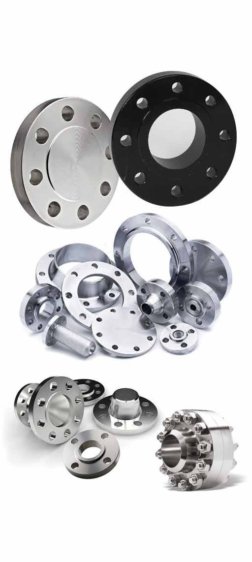 Steel Flanges
